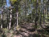 0-(Tract 6 Wolf Hill Wolf Hill Road - Photo 47
