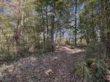 0-(Tract 6 Wolf Hill Wolf Hill Road - Photo 48