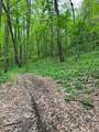 41060 Dawley New Pittsburg Road - Photo 3
