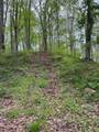 41060 Dawley New Pittsburg Road - Photo 4