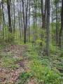 41060 Dawley New Pittsburg Road - Photo 5