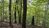 0-(Tract D at Hockin Tucker Road - Photo 22