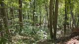 0-(Tract D at Hockin Tucker Road - Photo 35
