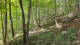 0-(Tract D at Hockin Tucker Road - Photo 63