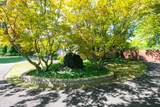 4106 Ongaro Drive - Photo 2