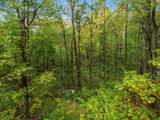 10355 Snortin Ridge Road - Photo 8