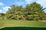 1533 Maple Heights Drive - Photo 49