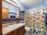 5851 Dena Drive - Photo 49
