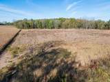 0 County Road 184 - Photo 4