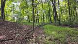 0-(Tract C at Hockin Tucker Road - Photo 17