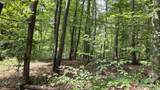 0-(Tract C at Hockin Tucker Road - Photo 23