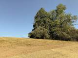 0-(Tract 5 Wolf Hill Wolf Hill Road - Photo 21