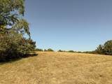 0-(Tract 5 Wolf Hill Wolf Hill Road - Photo 25