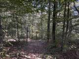 0-(Tract 5 Wolf Hill Wolf Hill Road - Photo 29