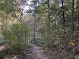 0-(Tract 5 Wolf Hill Wolf Hill Road - Photo 30