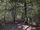 0-(Tract 5 Wolf Hill Wolf Hill Road - Photo 34
