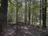 0-(Tract 5 Wolf Hill Wolf Hill Road - Photo 37