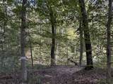 0-(Tract 5 Wolf Hill Wolf Hill Road - Photo 4