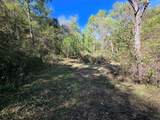 0 Newells Run Road - Photo 11