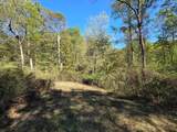 0 Newells Run Road - Photo 12