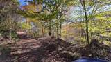 7677-(Lot 5 at Sceni Township Road 216 - Photo 17
