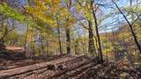 7677-(Lot 5 at Sceni Township Road 216 - Photo 18