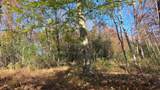 7677-(Lot 5 at Sceni Township Road 216 - Photo 26
