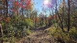 7677-(Lot 5 at Sceni Township Road 216 - Photo 40