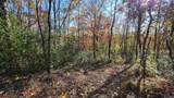 7677-(Lot 5 at Sceni Township Road 216 - Photo 41