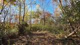 7677-(Lot 5 at Sceni Township Road 216 - Photo 42