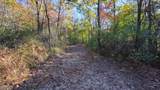 7677-(Lot 5 at Sceni Township Road 216 - Photo 44