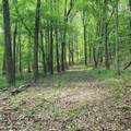 0 Mulberry Road - Photo 8