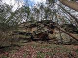 25779 Bailey Road - Photo 88