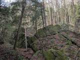 25779 Bailey Road - Photo 89
