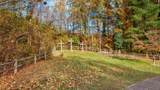 46585 Morning Star Road - Photo 50