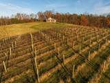 6176 Bethany Ridge Road - Photo 45