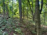 266-(Tract 9 Skyline Golf Course Road - Photo 29