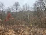 30870 Jug Run Road - Photo 44