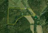 30870 Jug Run Road - Photo 46