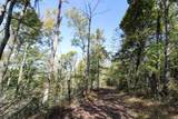 Lot 1 Brooks Road - Photo 6