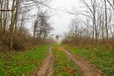 153 County Road 3 - Photo 5