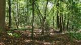929-(Ponds Poplar Ri Poplar Ridge Road - Photo 16