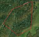 33056 Weaver Church Road - Photo 31