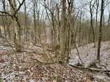 0 Sealover Hollow Road - Photo 17