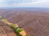 31382 Stevens Branch Road - Photo 3