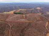 31382 Stevens Branch Road - Photo 4