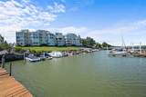 1503-247 Cleveland Road - Photo 59