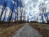 100-(Tract 12 Skylin Golf Course Road - Photo 4