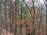 0-(Woods Turkey Run  Dutch Ridge Road - Photo 19
