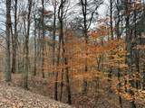 0-(Woods Turkey Run  Dutch Ridge Road - Photo 22